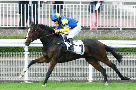 Polygona racehorse France winner